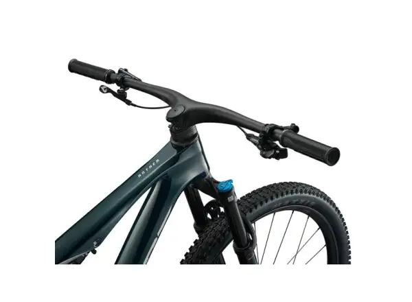 Giant Anthem X Advanced SL 2 vollgefedertes Mountainbike Dark Jungle