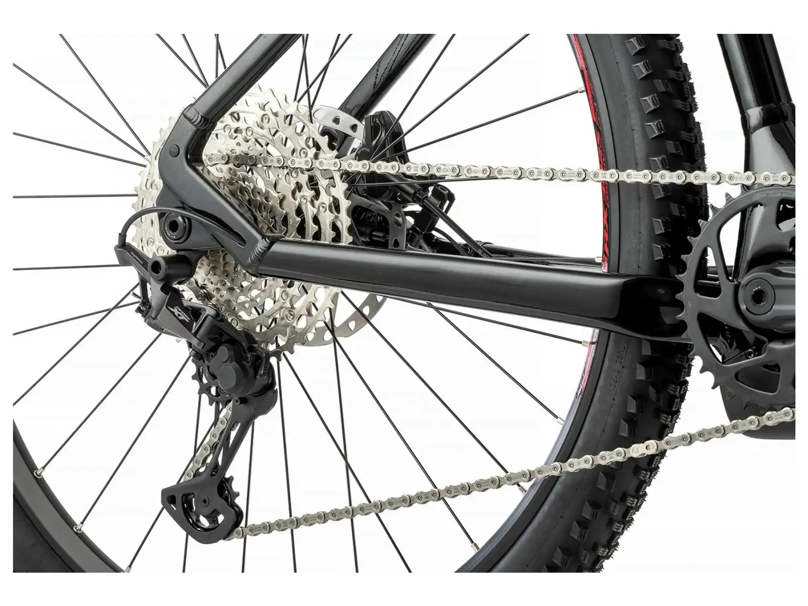 Apache Hupahu 2 Bosch 1000 Wh elektrisches Mountainbike schwarz