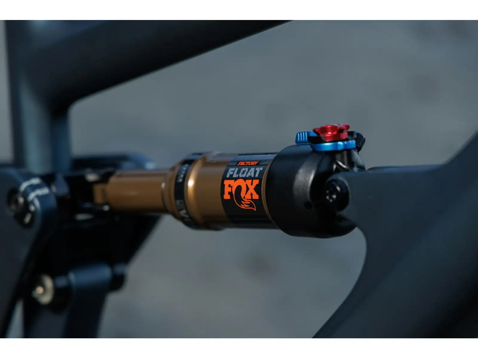 Ibis Ripley V5 XT Di2 Mountainbike Blue Hour