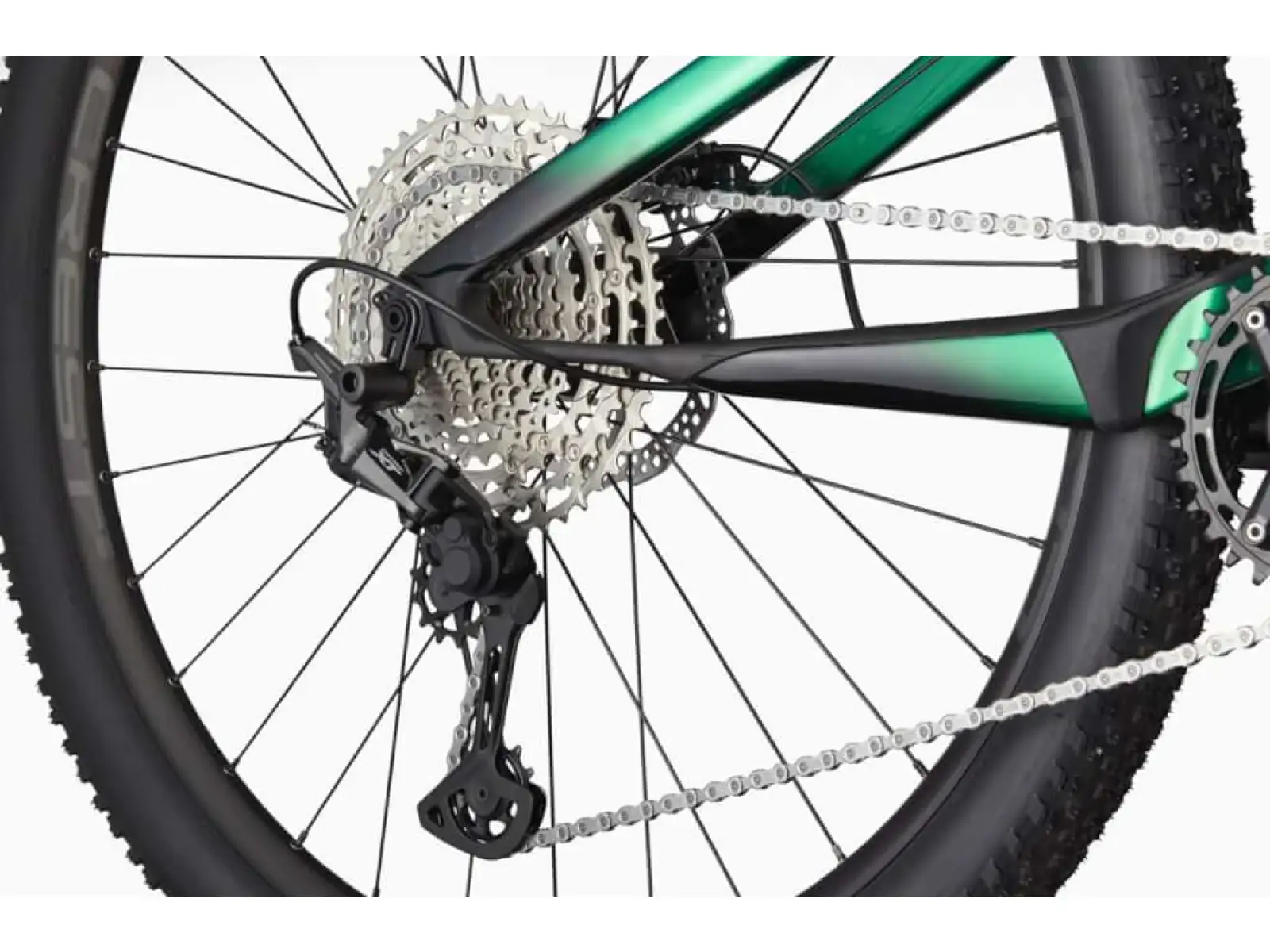 Cannondale Scalpel Carbon 4 29" JNG Mountainbike