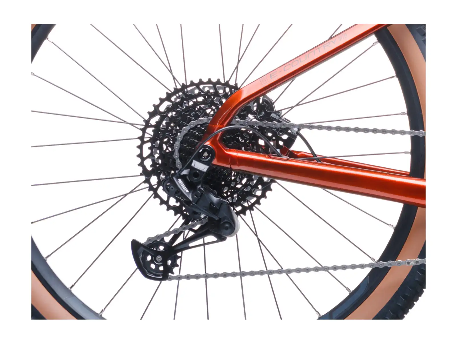 Crussis e-Country AX MTB 8.12-M2(600) Mountain-E-Bike