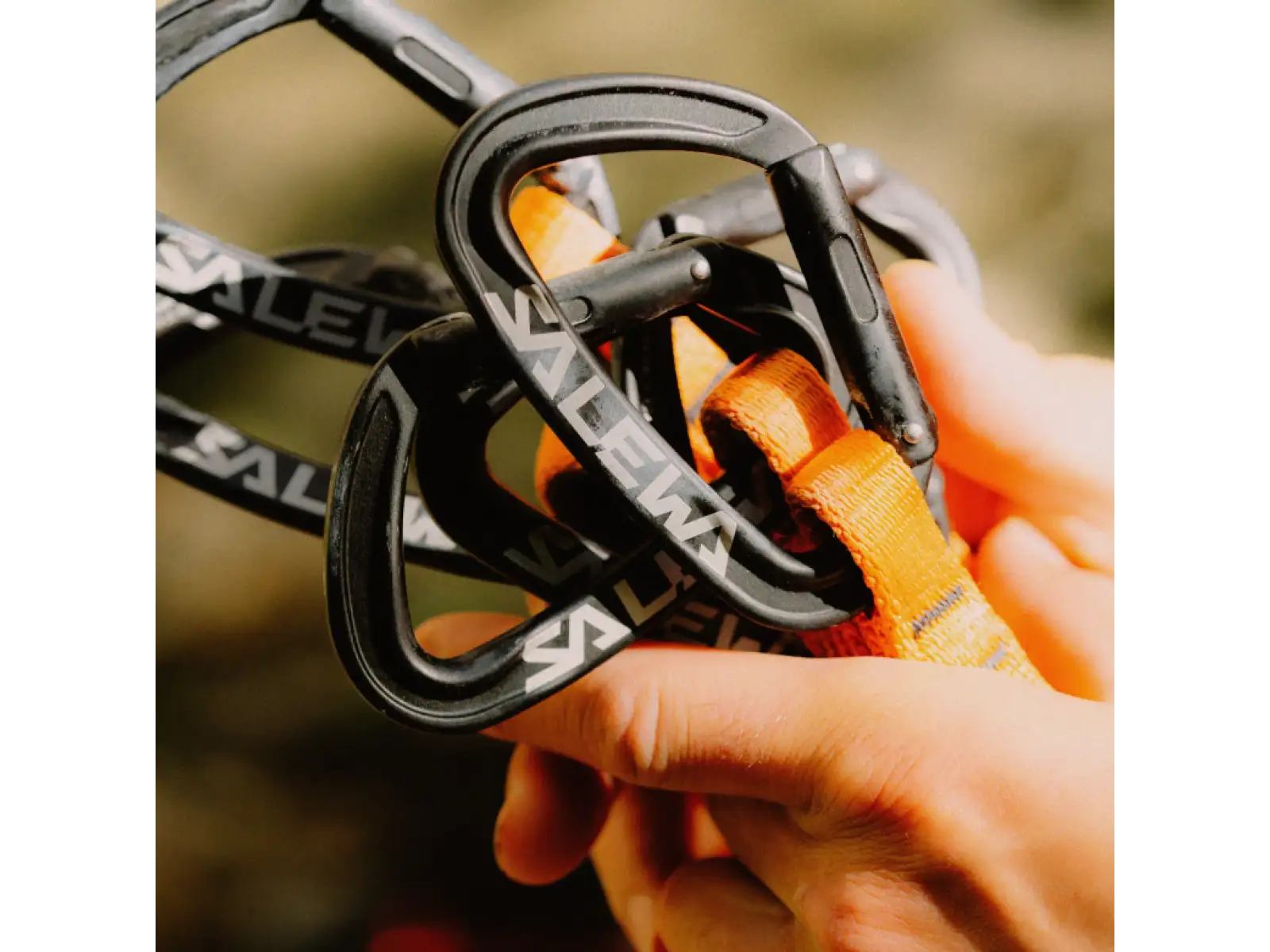 Salewa Ortles HMS Screw Karabiner M Irish Green