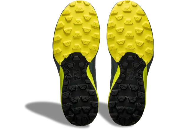 Dynafit Ultra GTX Herren-Laufschuhe Hurricane/Black Out