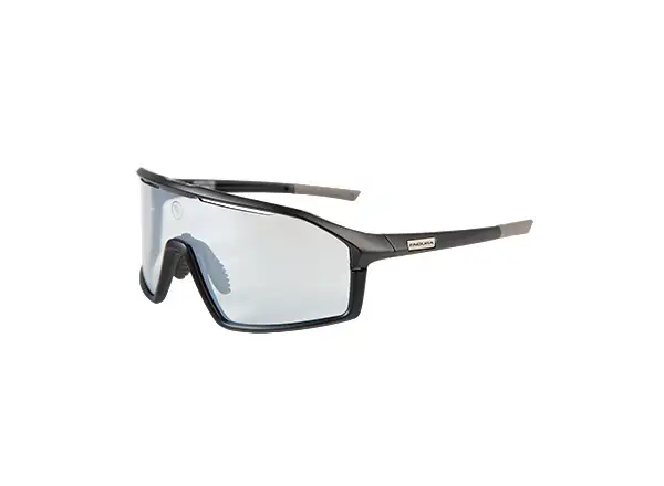 Endura Gabbro II Brille klar