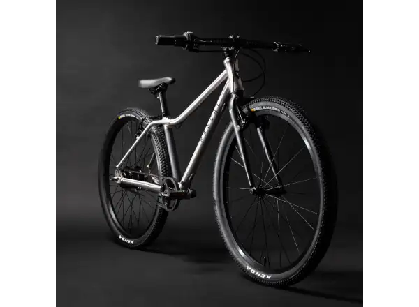 Rascal 24 7 mit Shimano Nexus Kinderfahrrad Titanium