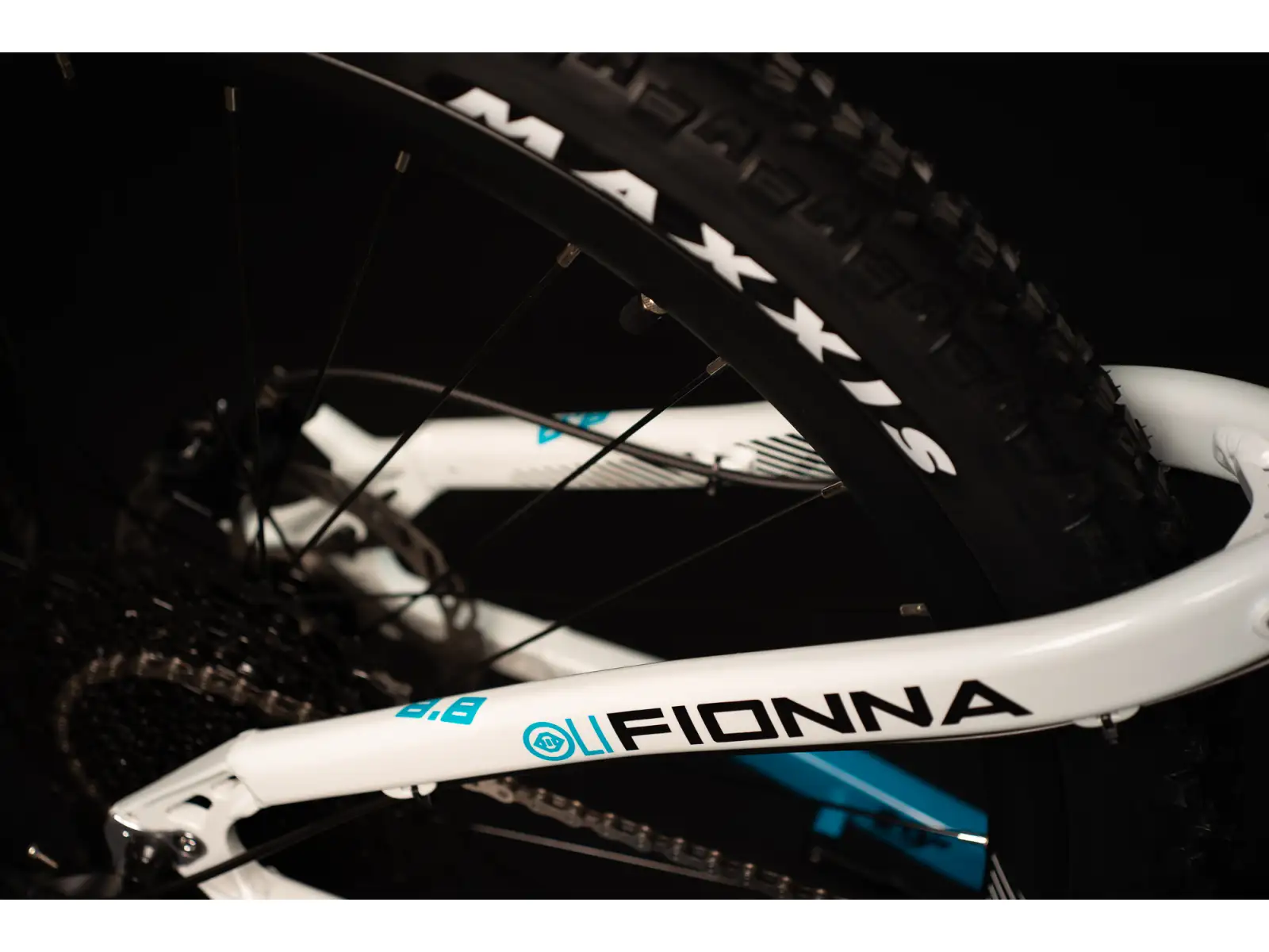 Crussis OLI Fionna 8.8-S Mountain-E-Bike
