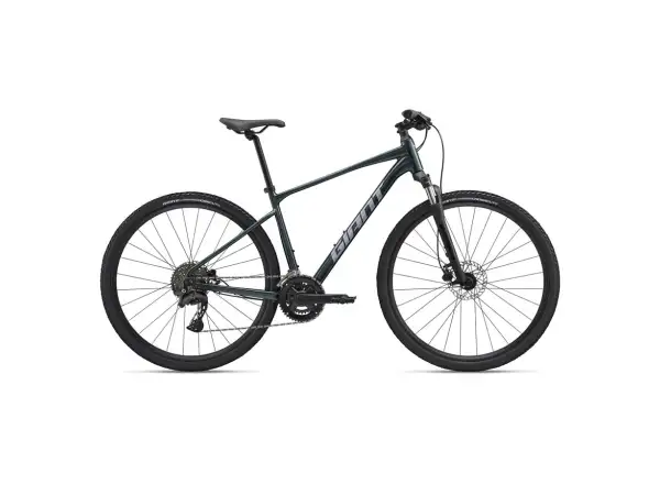 Giant Roam 2 Asphalt Trekkingrad Green