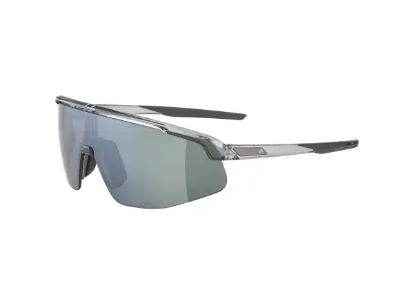 Alpina Turbo PRO Q-lite Brille Grey Transparent Gloss