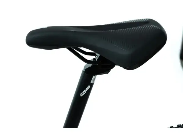 Crussis PAN Fionna 9.9-M E-Mountainbike