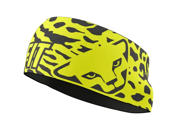 Dynafit Graphic Performance Stirnband Cabana/Gradient