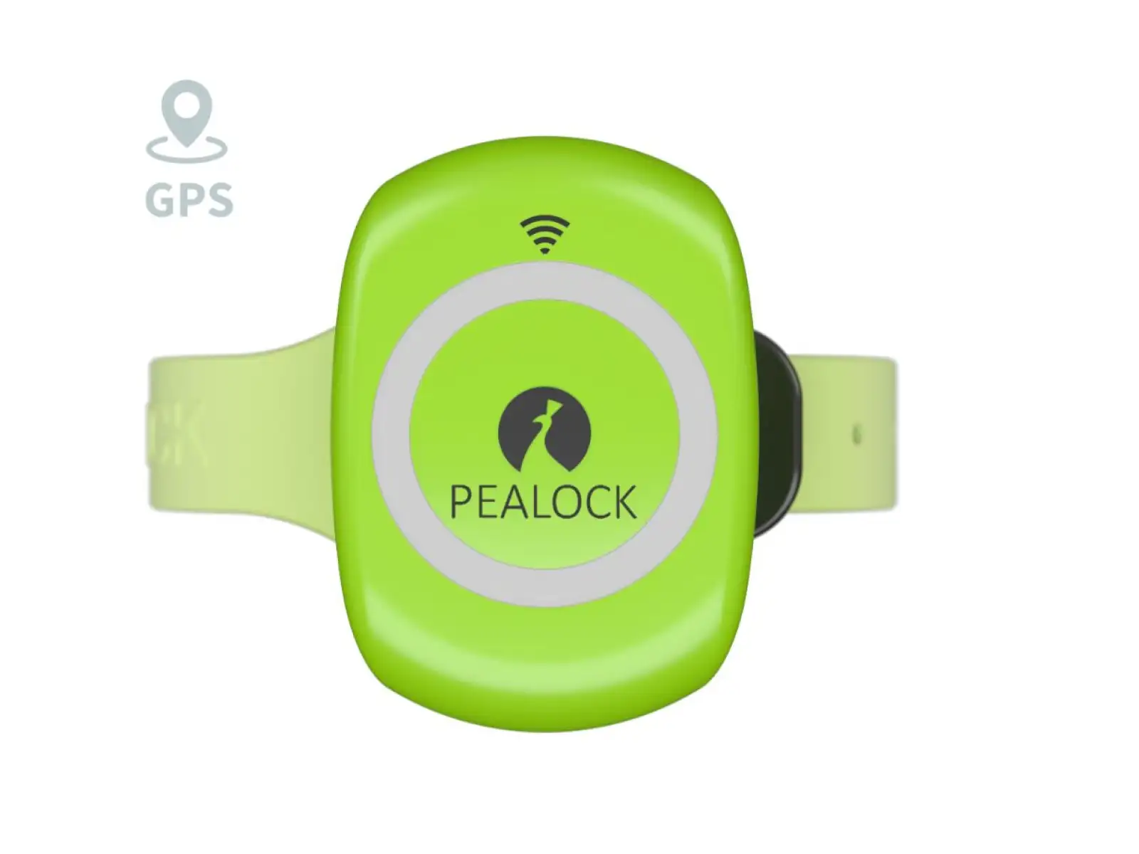 Pealock 2 elektronisches Schloss in Grün