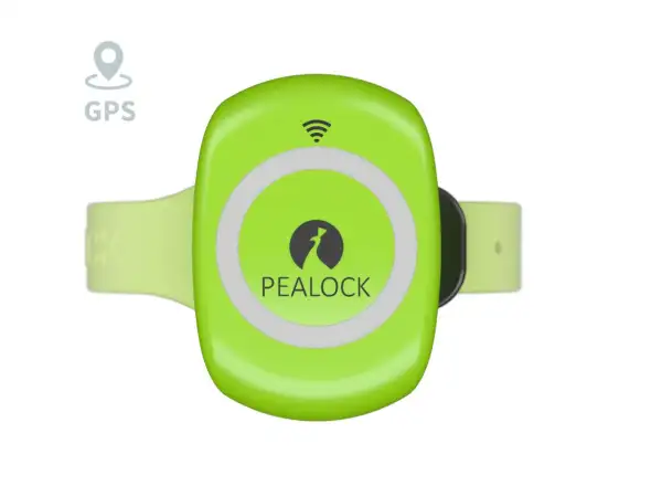 Pealock 2 elektronisches Schloss in Grün