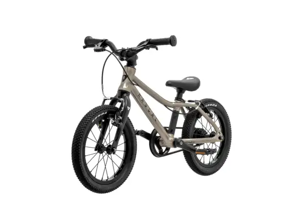 Rascal 14 Kinderfahrrad Titanium