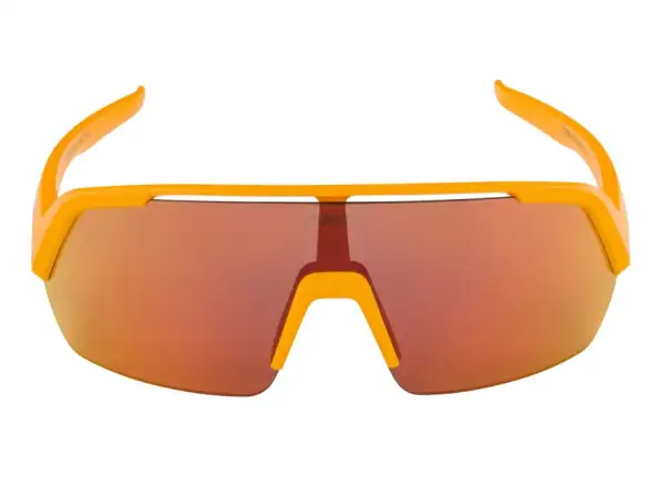 Alpina Turbo HR Brille Burned/Yellow Matt
