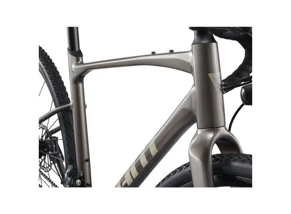 Giant Revolt 1 gravel Fahrrad Metal