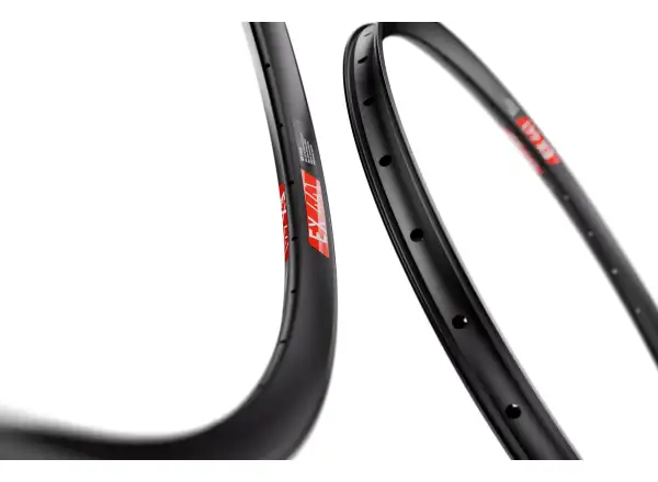 DT Swiss EX 441 29" MTB Felge schwarz