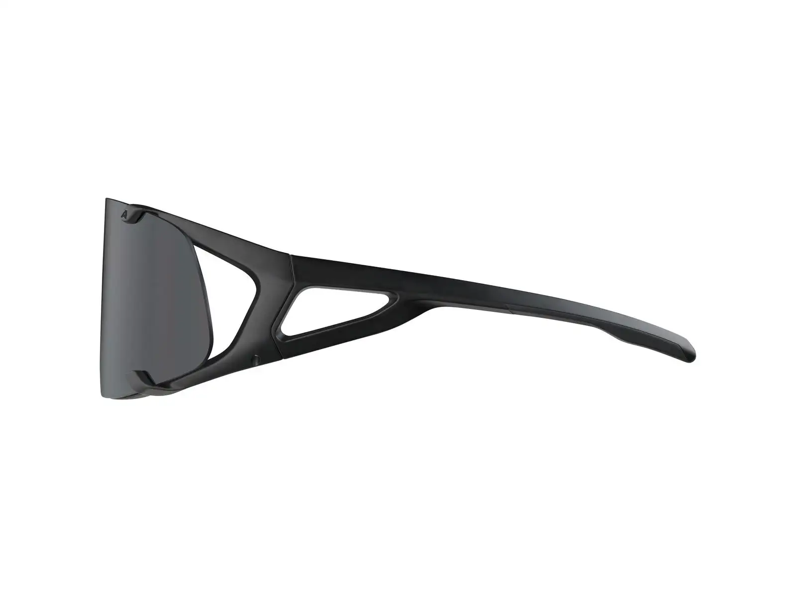 Alpina Hawkeye Brille All Black Matt