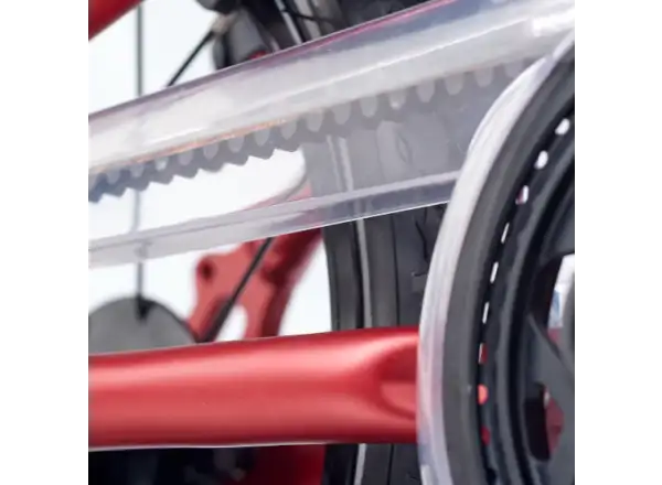 Academy Grade 2 Belt Kinderfahrrad 14" rot