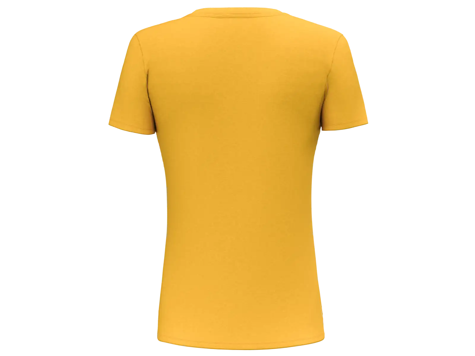 Salewa Pure Eagle Frame Dry Damen T-Shirt kurzarm Gold Melange