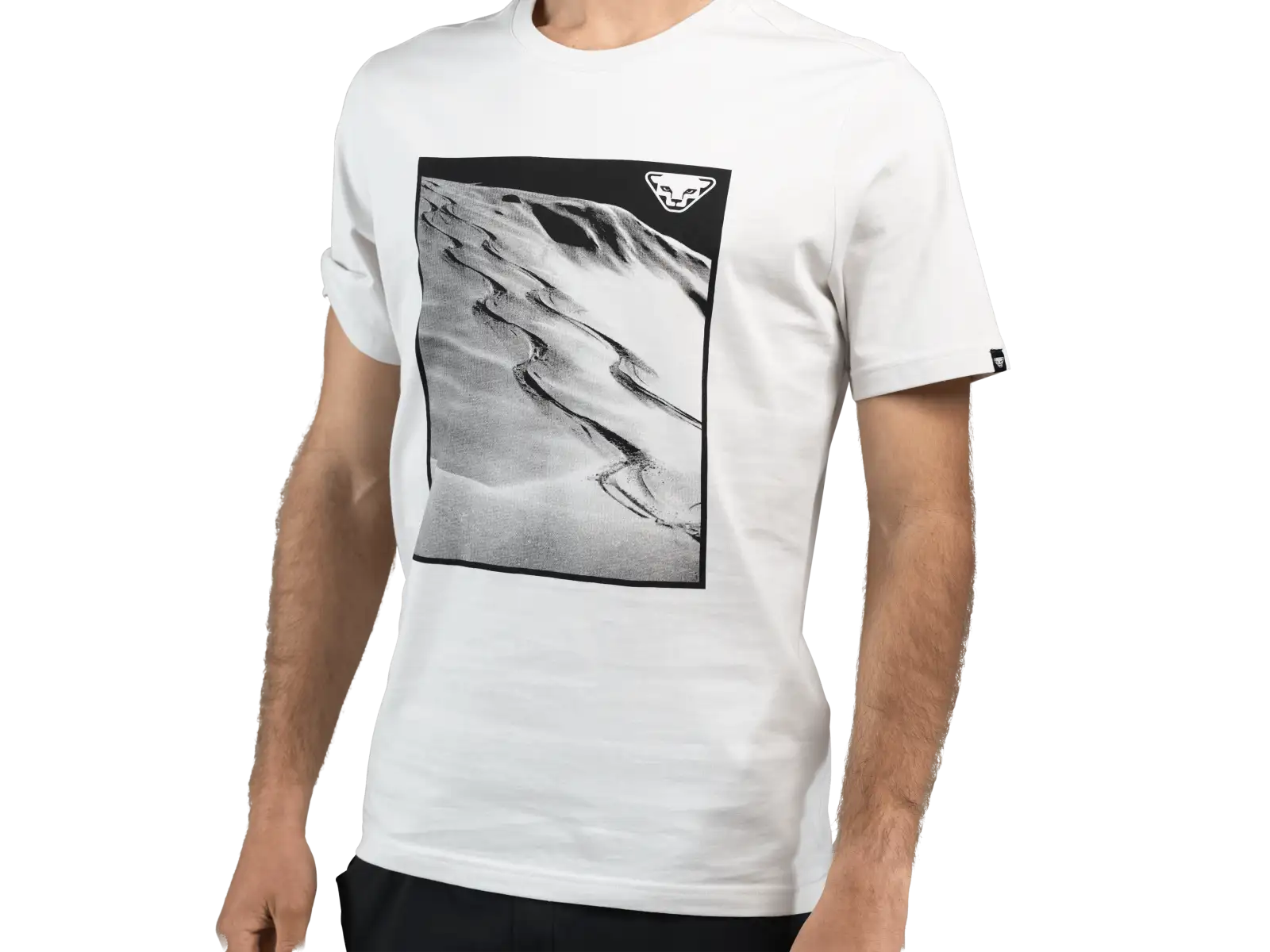 Dynafit Graphic Cotton Herren T-Shirt Kurzarm Nimbus/First Track