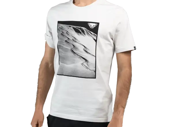 Dynafit Graphic Cotton Herren T-Shirt Kurzarm Nimbus/First Track