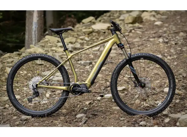 Superior eXP 8089 elektrisches Mountainbike Matte Olive Metallic/Chrome Silver