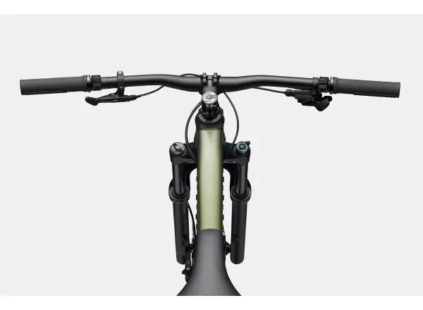 Cannondale Habit HT 2 Mountainbike MAT