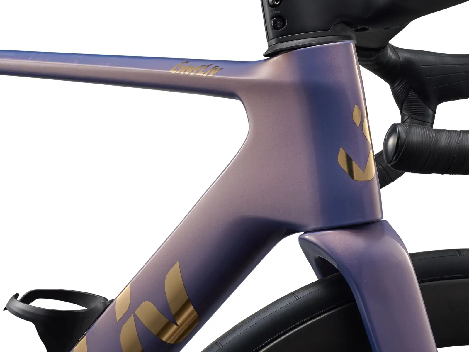 Liv EnviLiv Advanced Pro 0-Di2 Rennrad Ember Violet