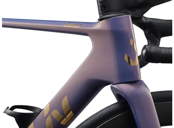 Liv EnviLiv Advanced Pro 0-Di2 Rennrad Ember Violet