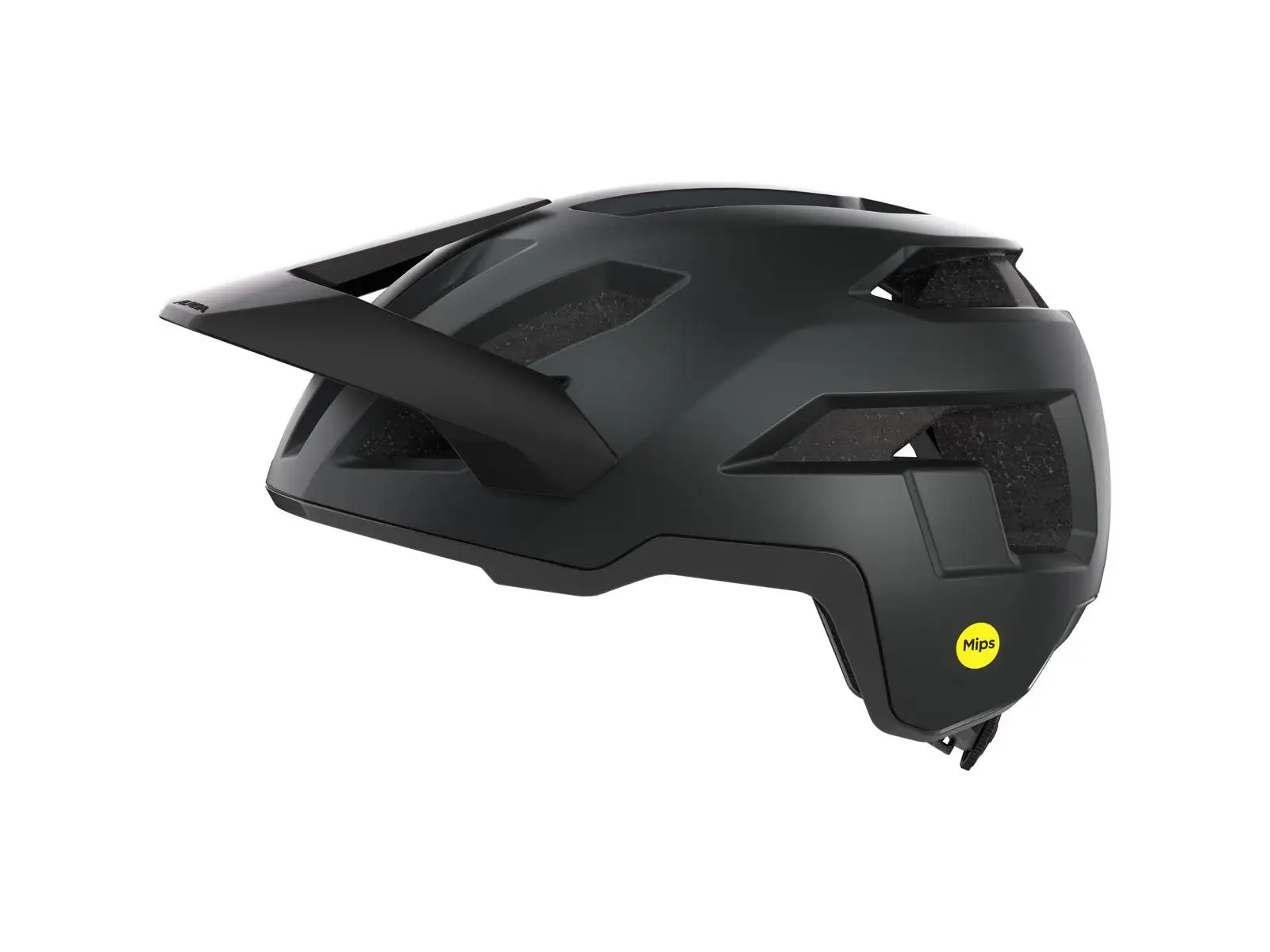 Alpina Taunus Mips Helm Black Matt