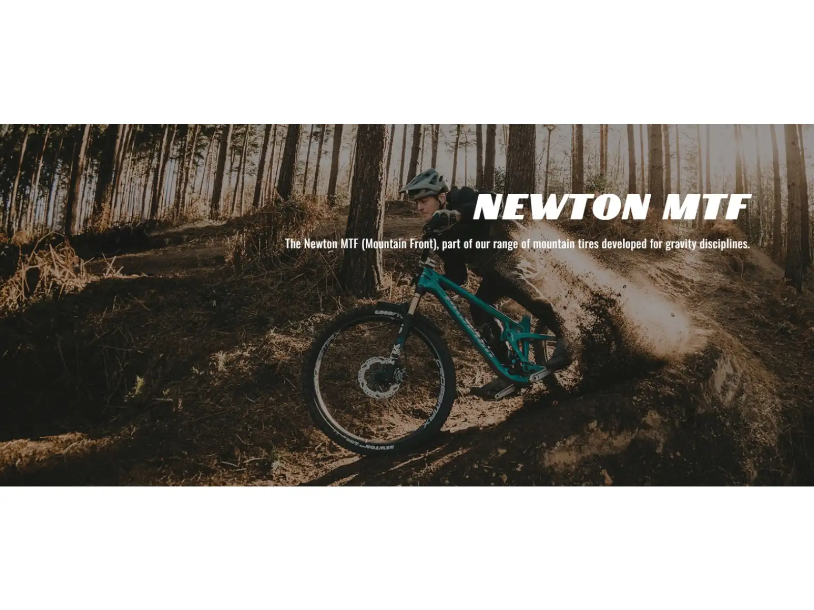 Goodyear Newton MTF Enduro Tubeless Complete 29x2,50" MTB Reifen Kevlar