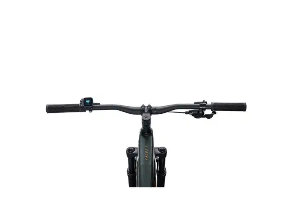Giant Talon E+ BOX Mountain-E-Bike Asphalt Green