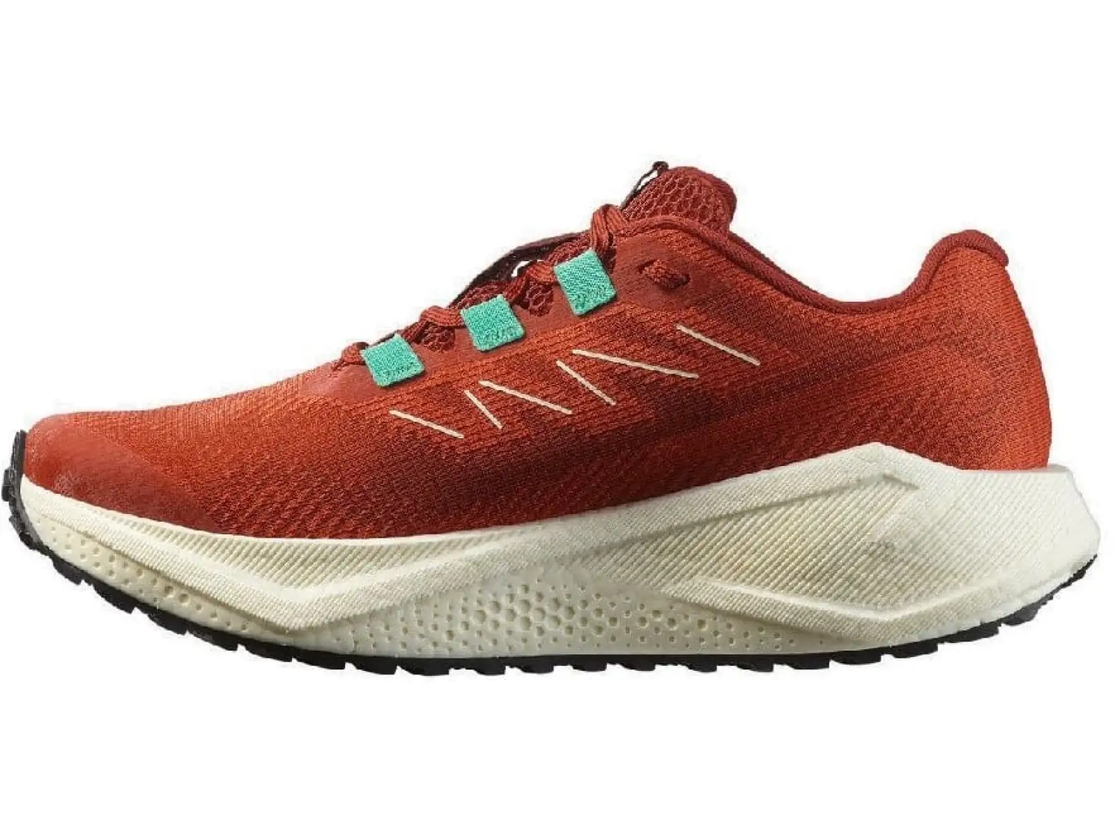 Salomon Aero Blaze 3 GRVL W Damen-Laufschuhe Burnt Ochre/Vanilla Ice/Vanilla Ice