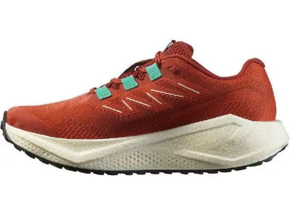 Salomon Aero Blaze 3 GRVL W Damen-Laufschuhe Burnt Ochre/Vanilla Ice/Vanilla Ice