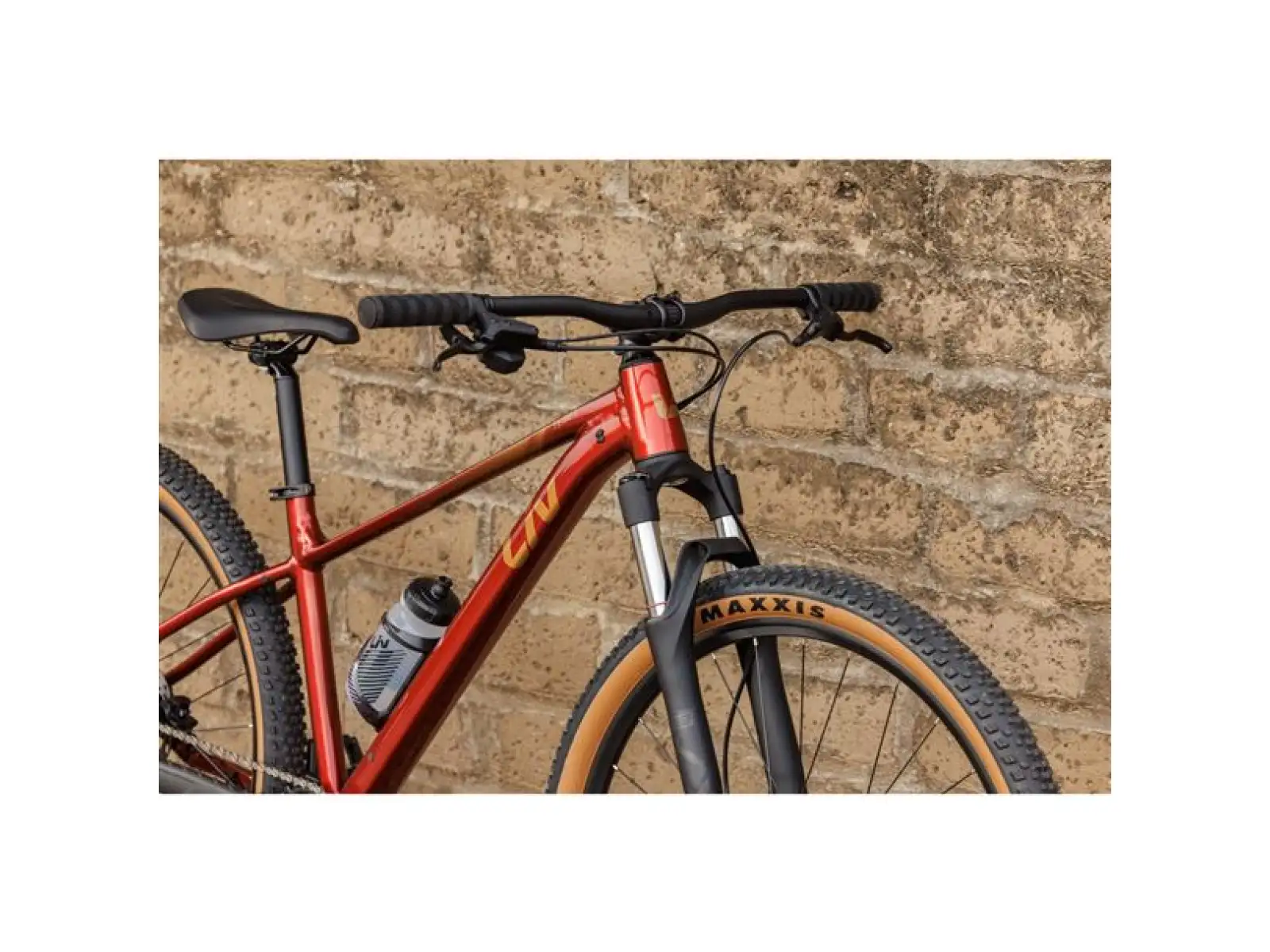 Giant Tempt 29 2 Mountainbike Mars Dust