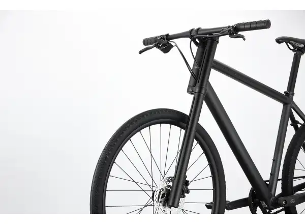 Cannondale Bad Boy 1 BBQ Urbanbike