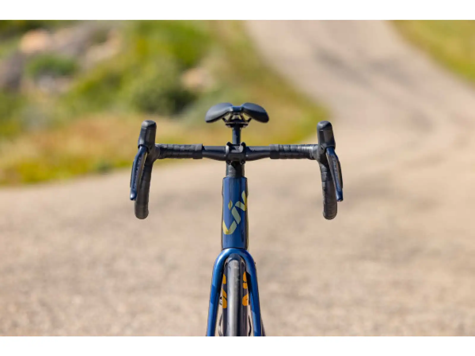 Liv Langma Advanced Pro 0 PC Rennrad Ocean Twilight