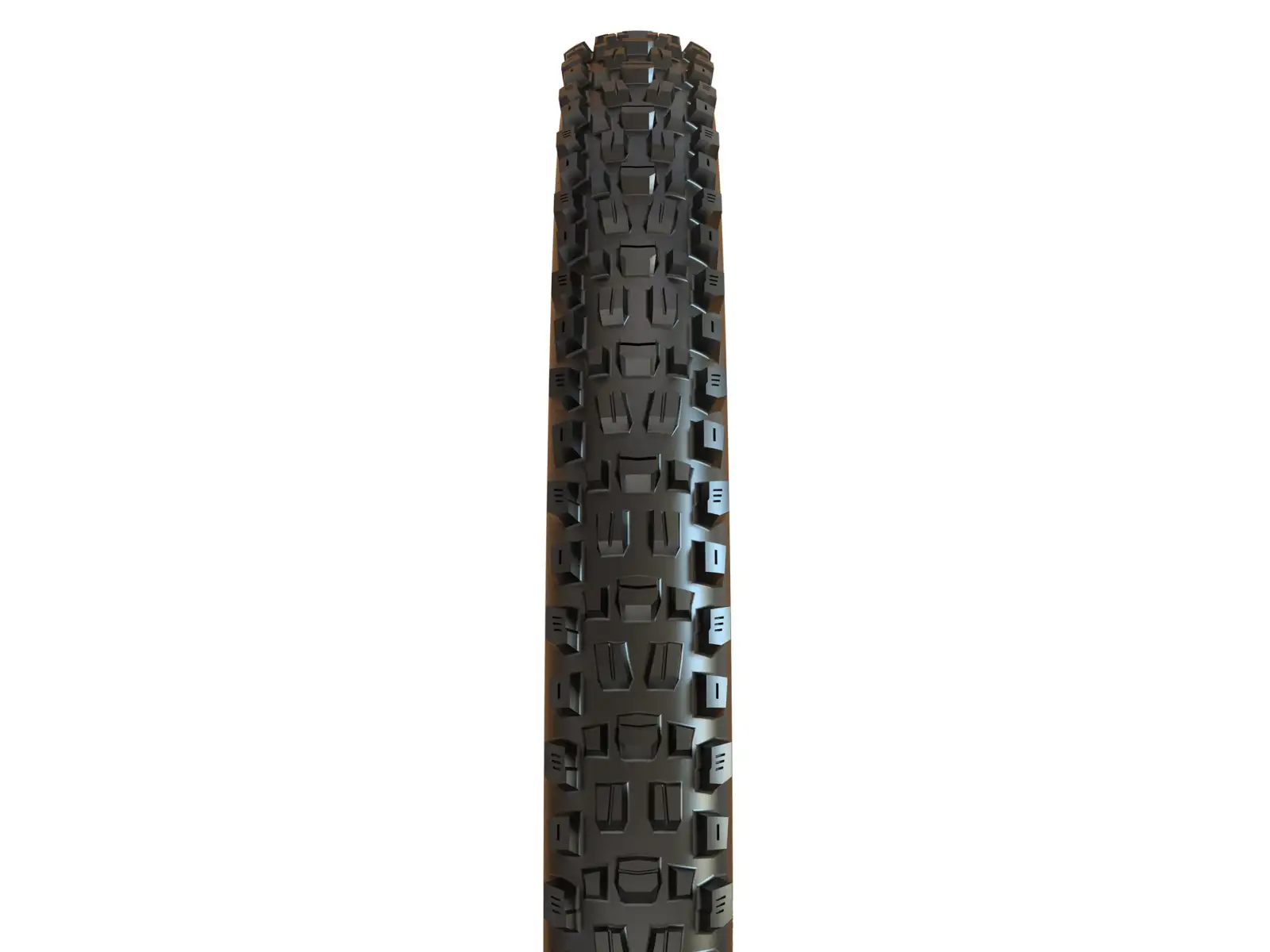 Maxxis Assegai 29x2.50" WT EXO TR Reifen Kevlar Tanwall
