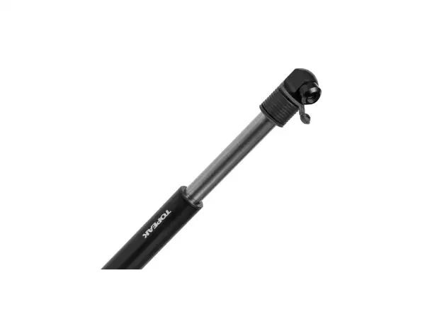 Topeak Pumpe Two Timer X