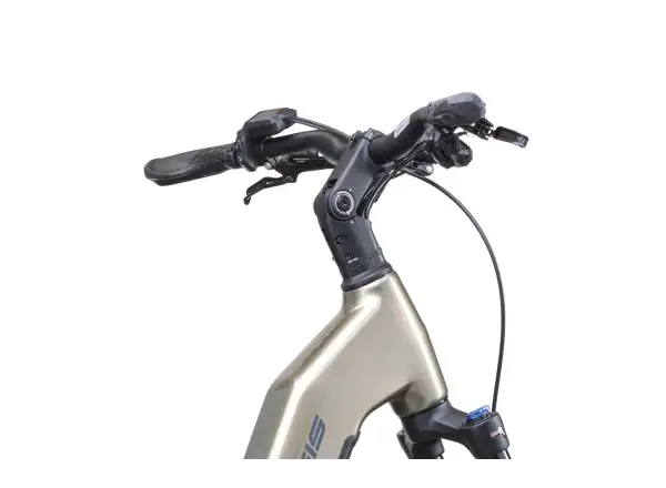 Crussis e-Country AX 8.12-M2(600) City E-Bike