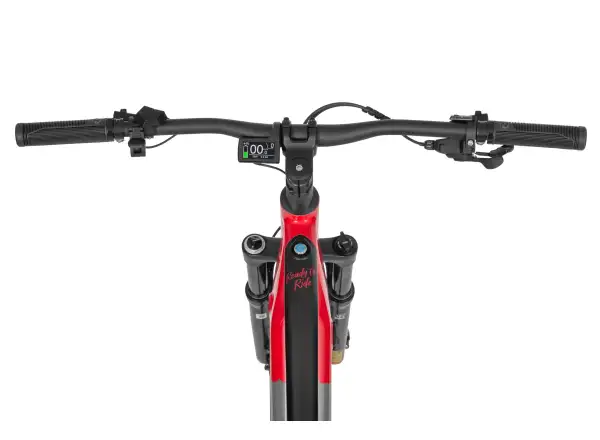 Ecobike RX 500 720 Wh schwarz rotes elektrisches Mountainbike