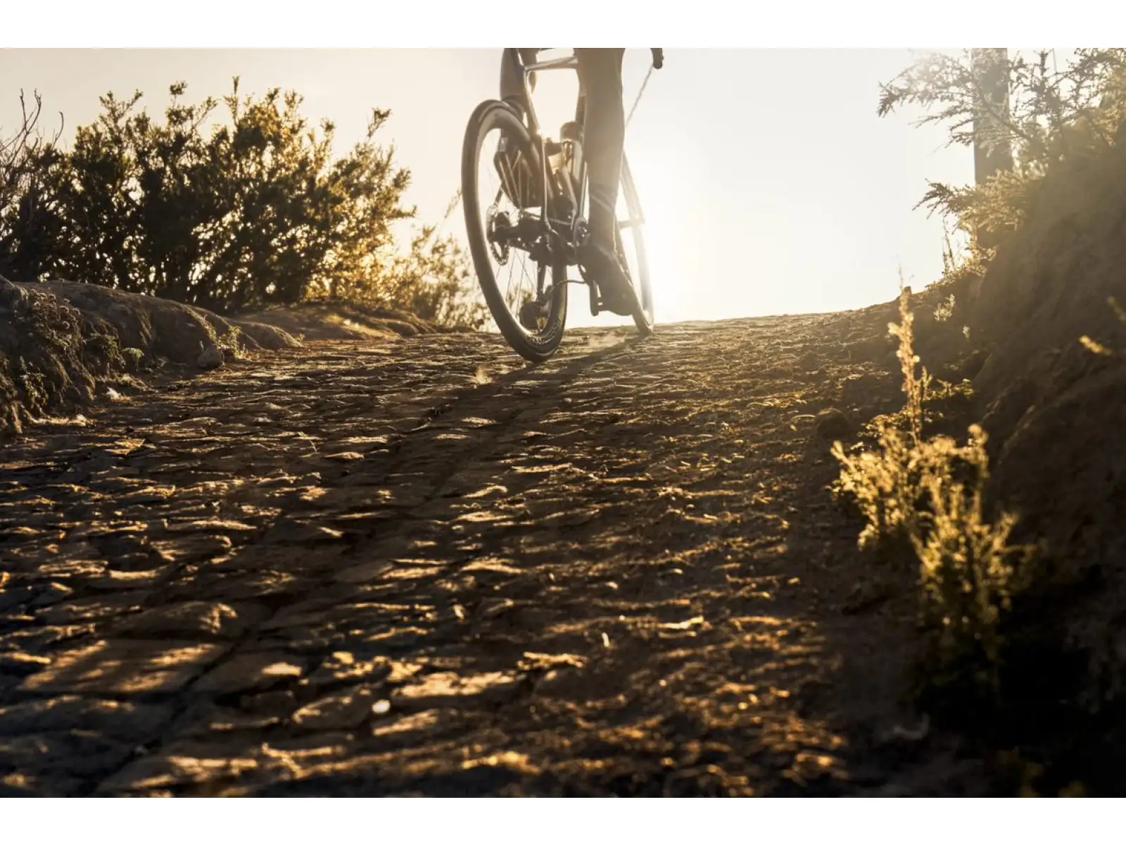 Cannondale SuperSix EVO Hi-MOD 1 Rennrad TRD
