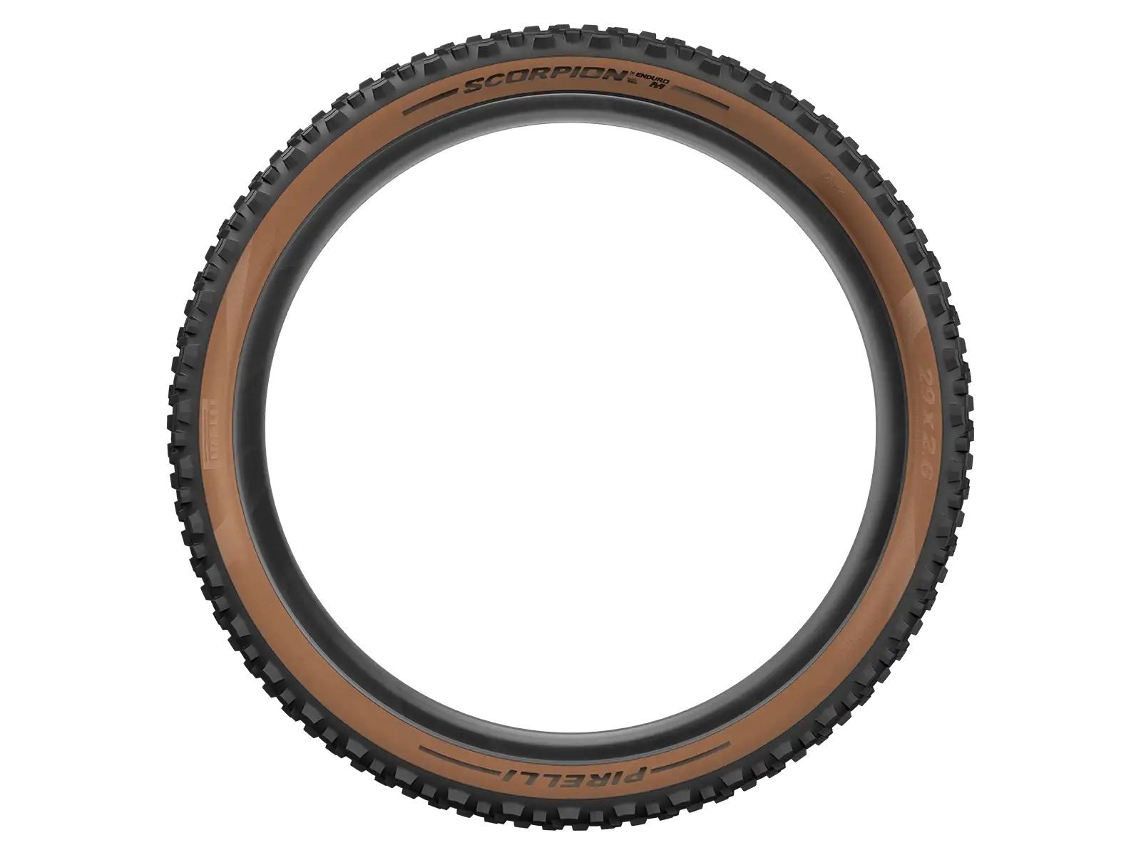 Pirelli Scorpion Enduro M Hardwall 29x2,60" Reifen mit Kevlar in Türkis