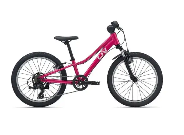Giant Tempt 20 Kinder-Mountainbike Virtual Pink