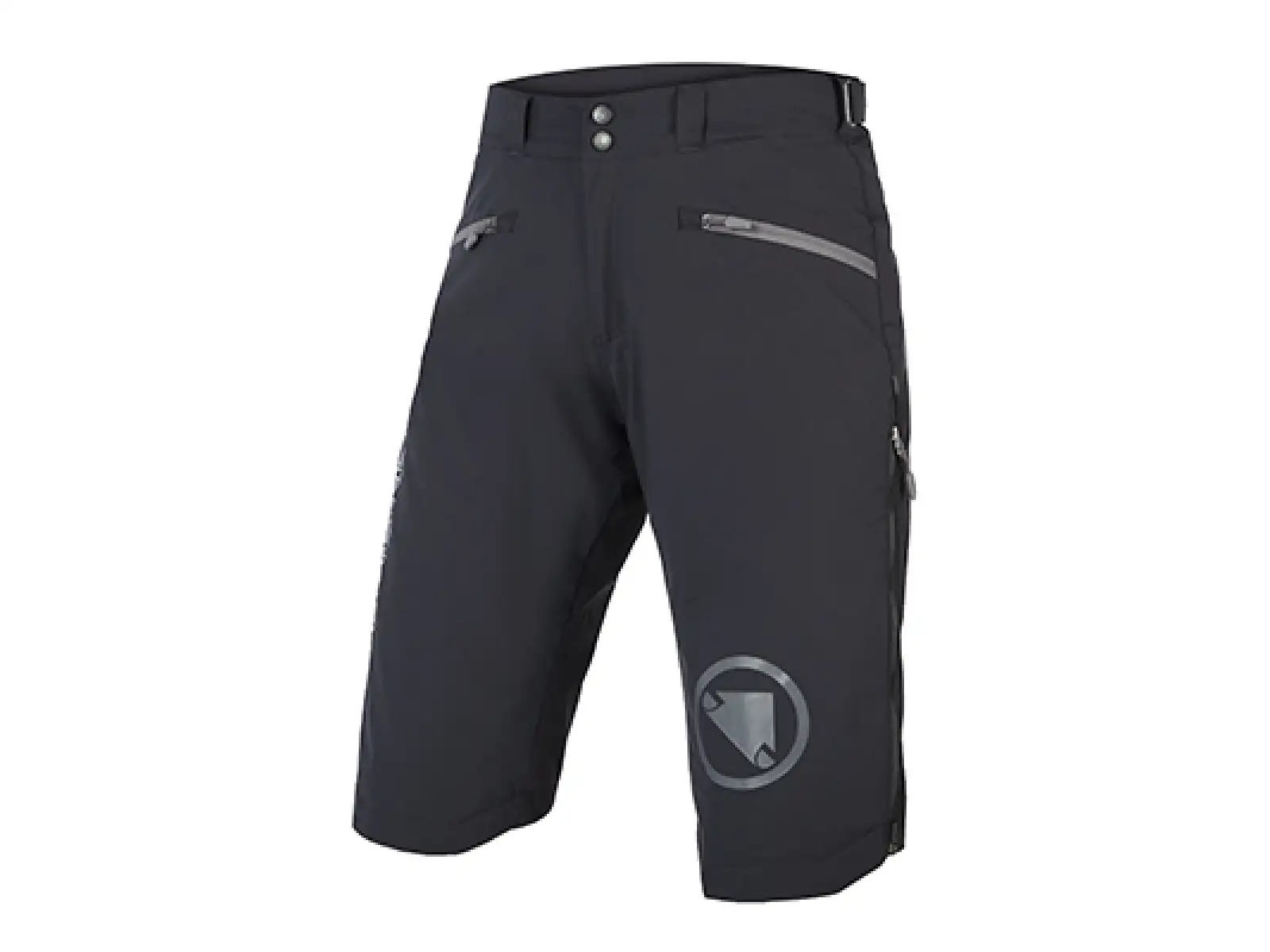 Endura MT500 Freezing Point Herren Shorts Schwarz