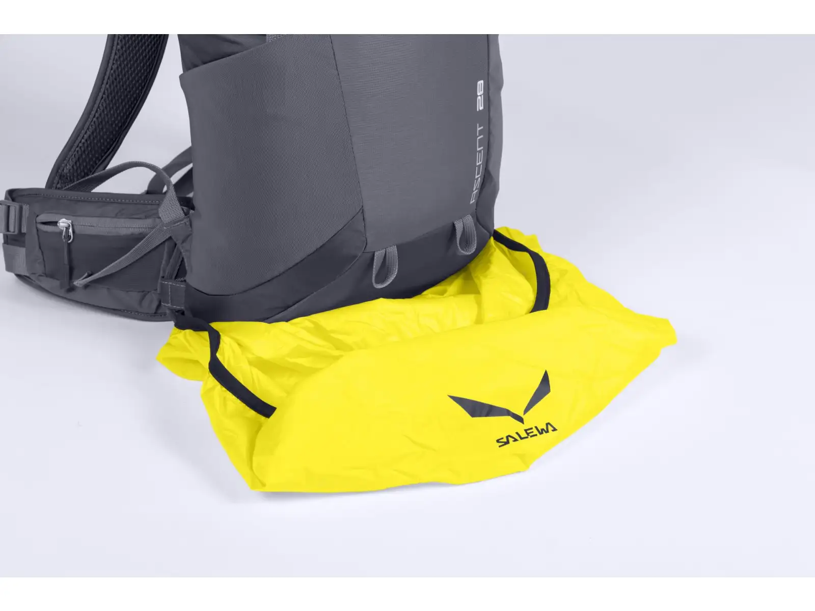 Salewa Alp Trainer 20 l Damen Rucksack Dunkellila