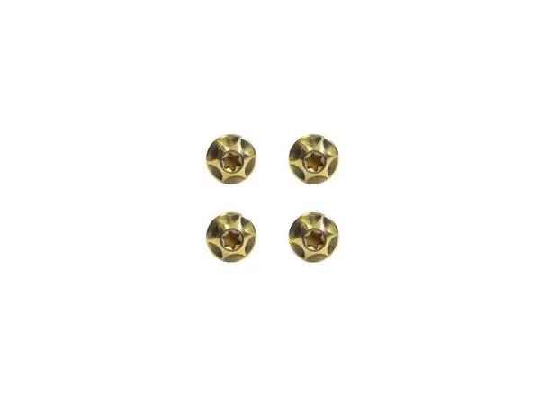 Silca Ti Korb Schrauben-Set Gold