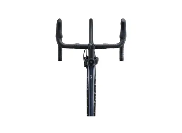 Giant TCR Advanced 1+ Disc-PC Rennrad cold night