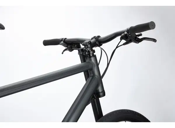 Cannondale Bad Boy 2 BBQ Urbanbike
