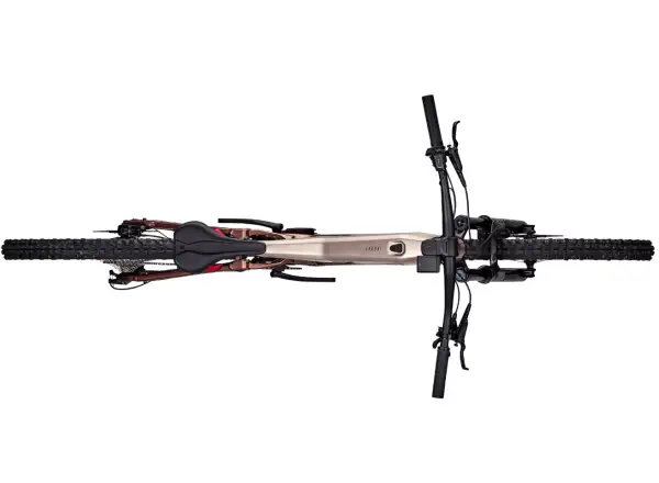 Focus E-Bike – Thron2 6.8 ABS 600 Wh Adamantsilver/Platinumbronze